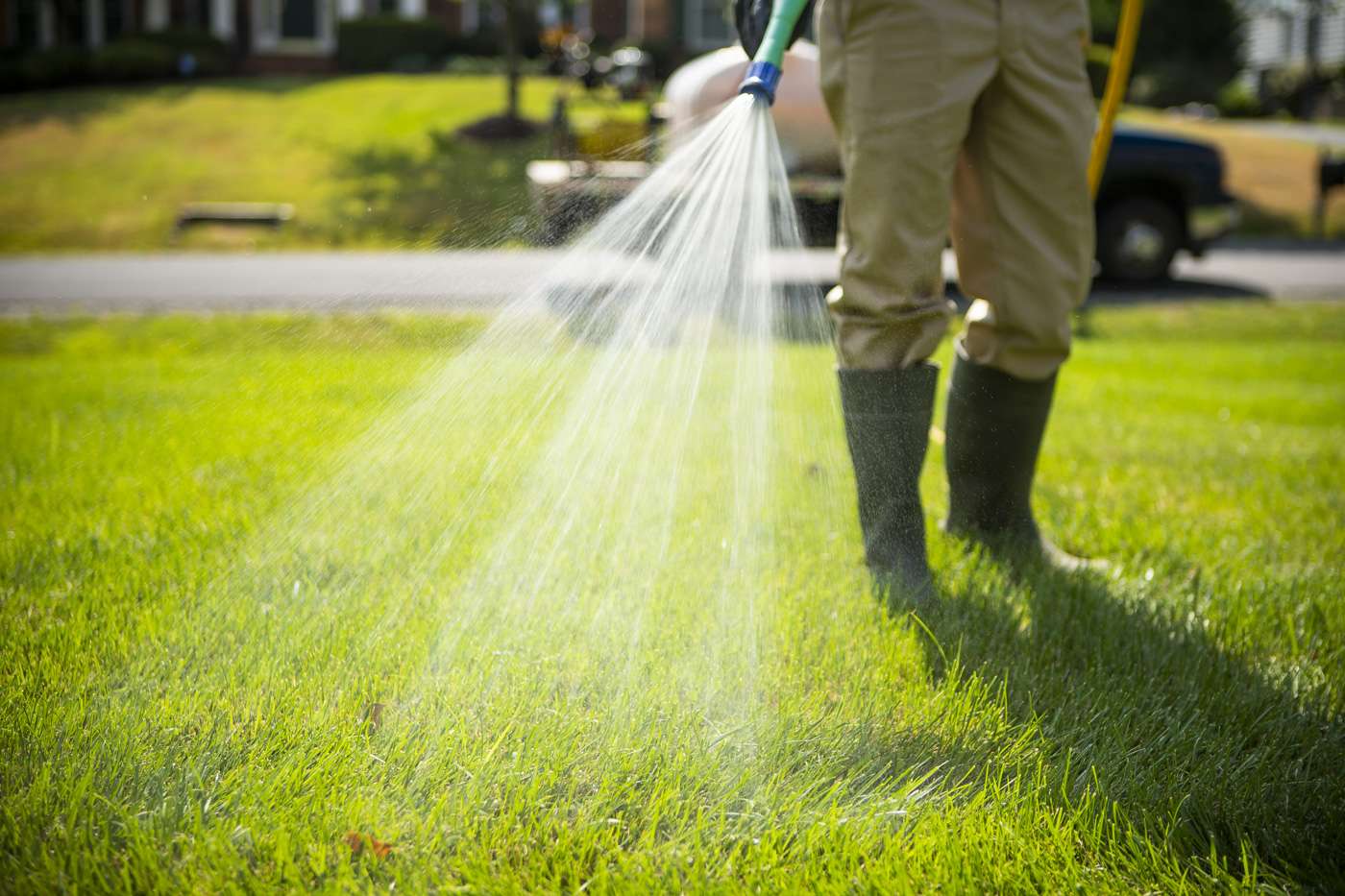 Great Insights From A Lawn Soil Test & Incredible Lawn Care Remedies To 