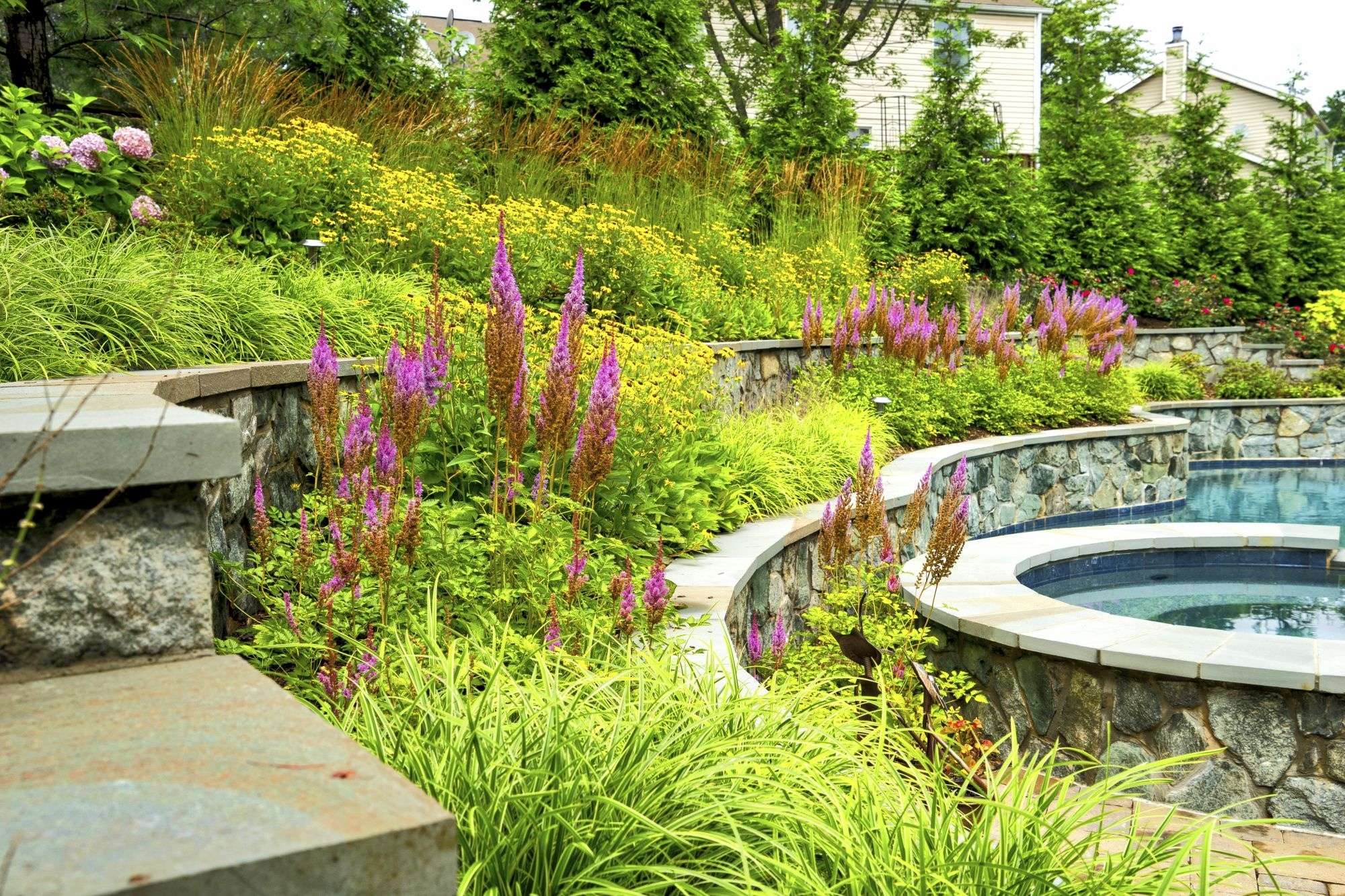 4 Landscaping Ideas For Privacy Around Your Pool in Haymarket